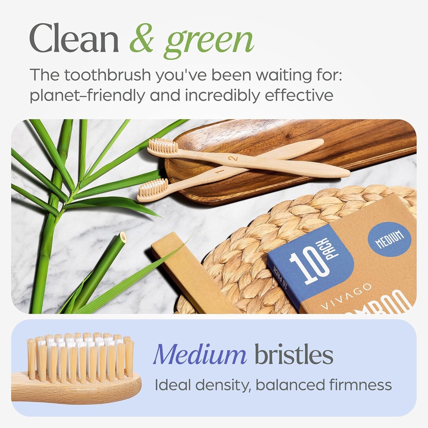 brushes